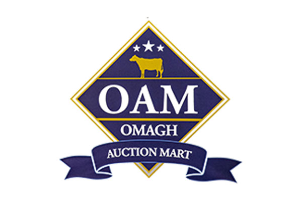 Omagh Auction Mart